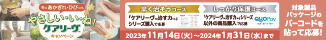 やさしい・い・ね！ケアリーヴTMキャンペーン 期間：2023年11月14日（火）～2024年1月31日（水） ダスキン選んで使えるおそうじギフトカード、インテリアギフトカタログ、QUOカードPayなど抽選で合計420名様に当たる！キャンペーン実施中！